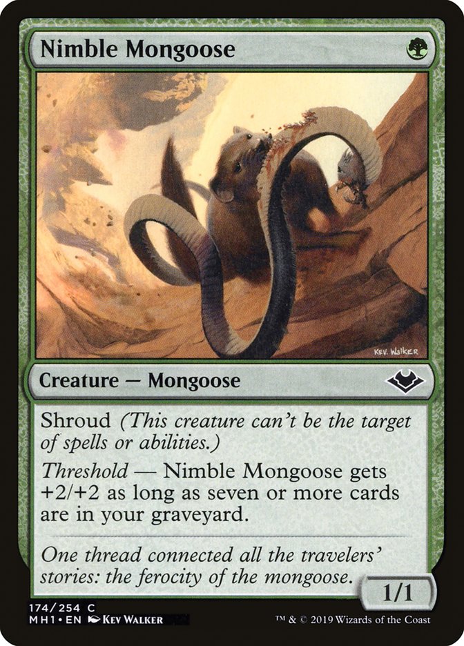 Nimble Mongoose [Modern Horizons] | The Gaming Verse