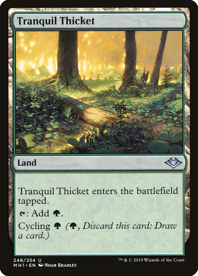 Tranquil Thicket [Modern Horizons] | The Gaming Verse