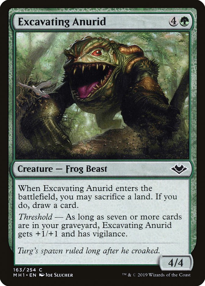 Excavating Anurid [Modern Horizons] | The Gaming Verse