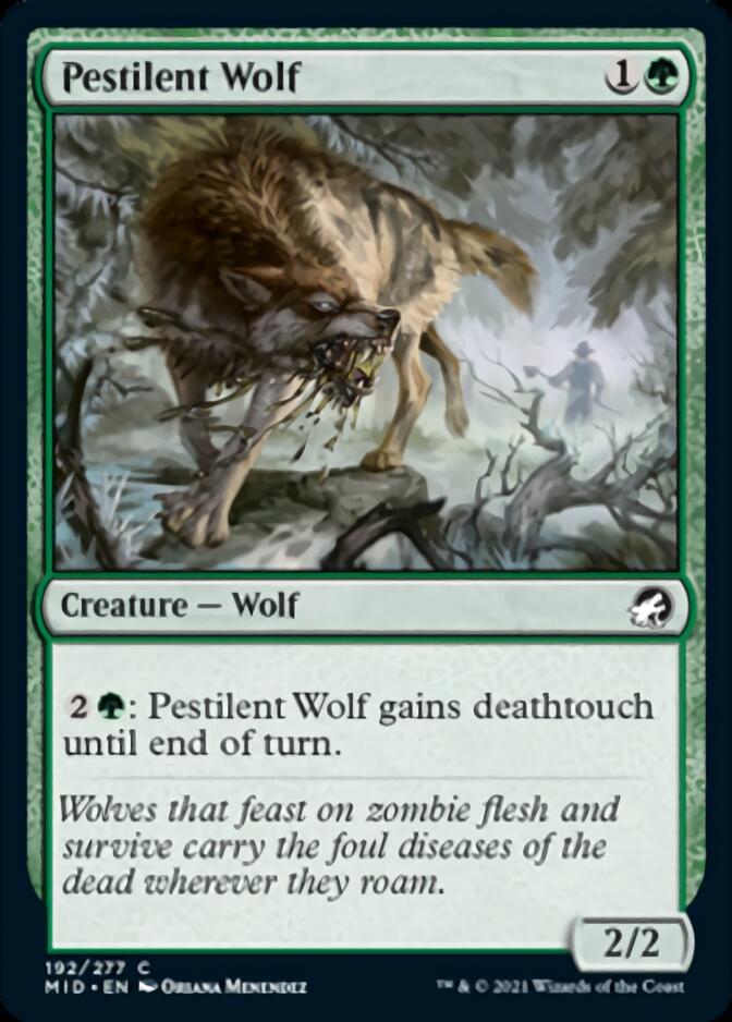 Pestilent Wolf [Innistrad: Midnight Hunt] | The Gaming Verse