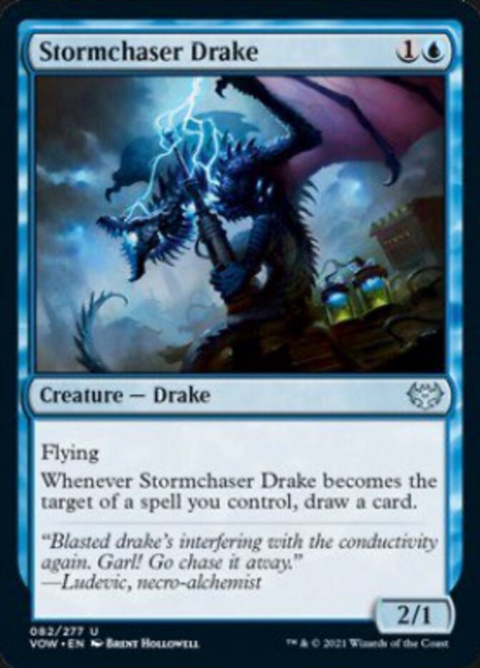 Stormchaser Drake [Innistrad: Crimson Vow] | The Gaming Verse