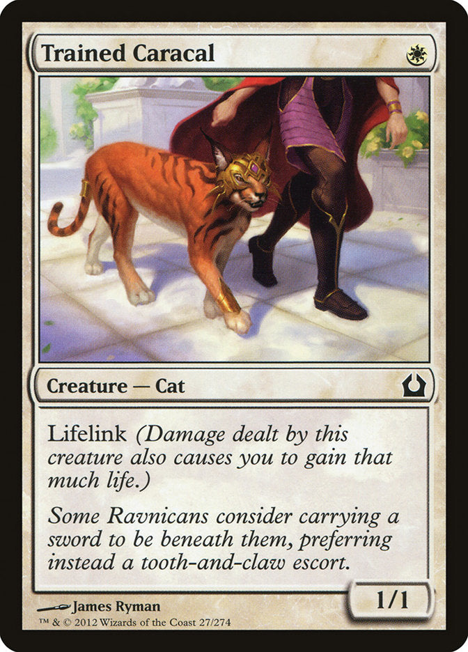 Trained Caracal [Return to Ravnica] | The Gaming Verse