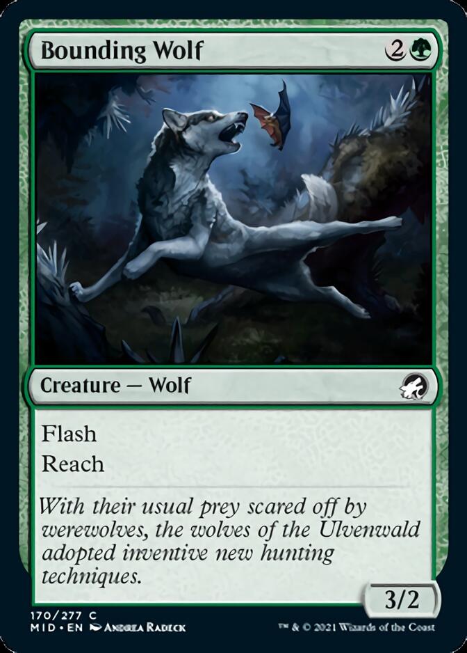 Bounding Wolf [Innistrad: Midnight Hunt] | The Gaming Verse