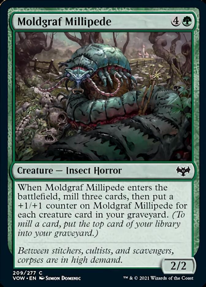 Moldgraf Millipede [Innistrad: Crimson Vow] | The Gaming Verse