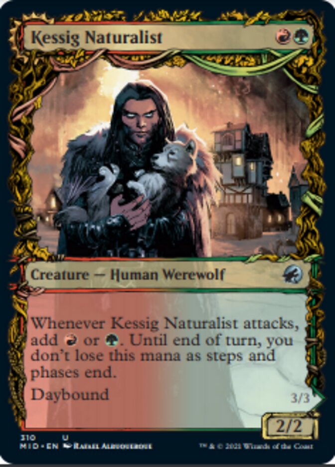 Kessig Naturalist // Lord of the Ulvenwald (Showcase Equinox) [Innistrad: Midnight Hunt] | The Gaming Verse