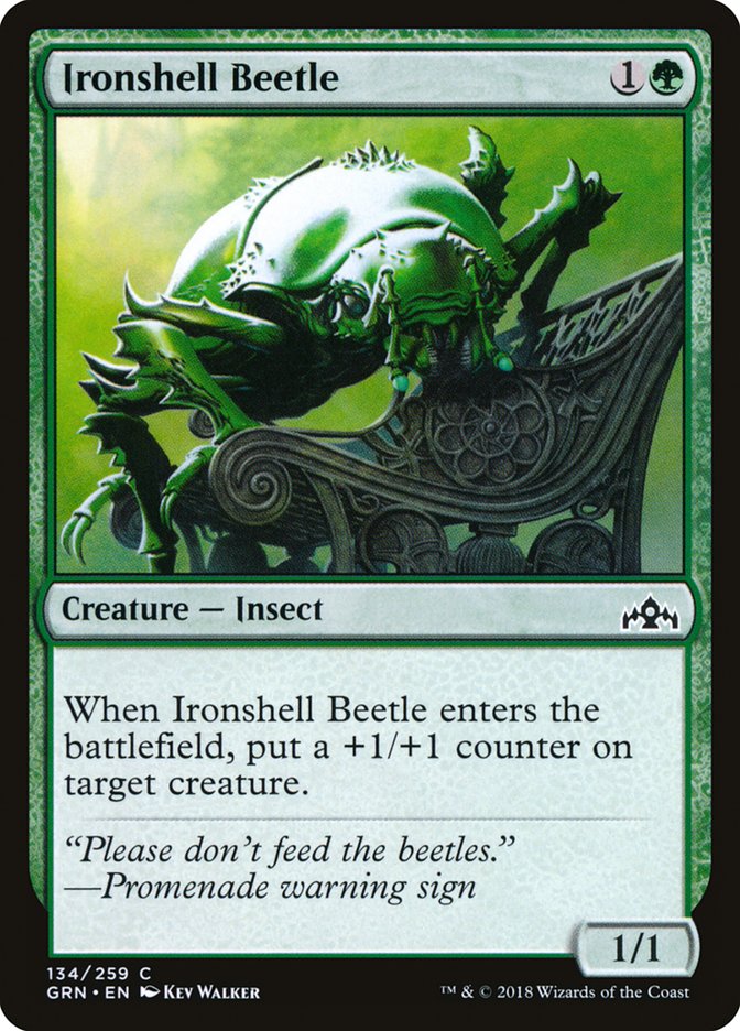 Ironshell Beetle [Guilds of Ravnica] | The Gaming Verse