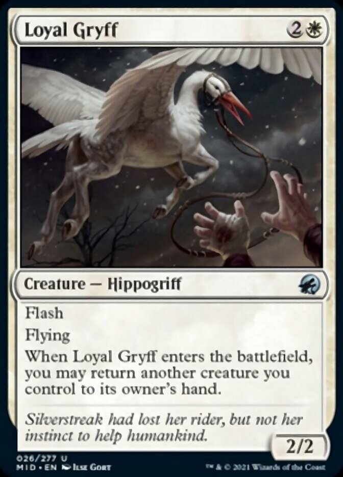 Loyal Gryff [Innistrad: Midnight Hunt] | The Gaming Verse